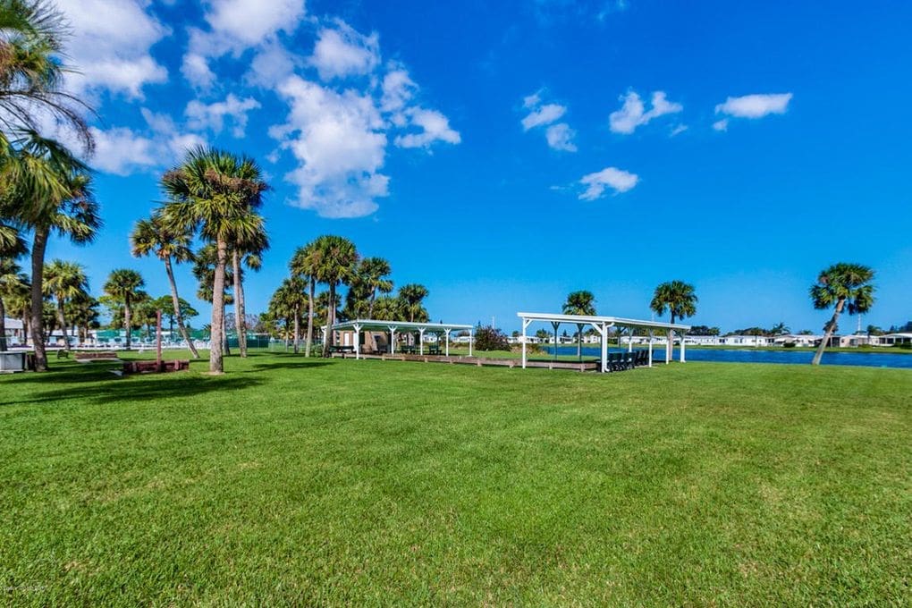 Lush green park featuring palm trees and a picnic area with a waterfront view, ideal for gatherings and relaxation. Bright blue skies enhance the scene.