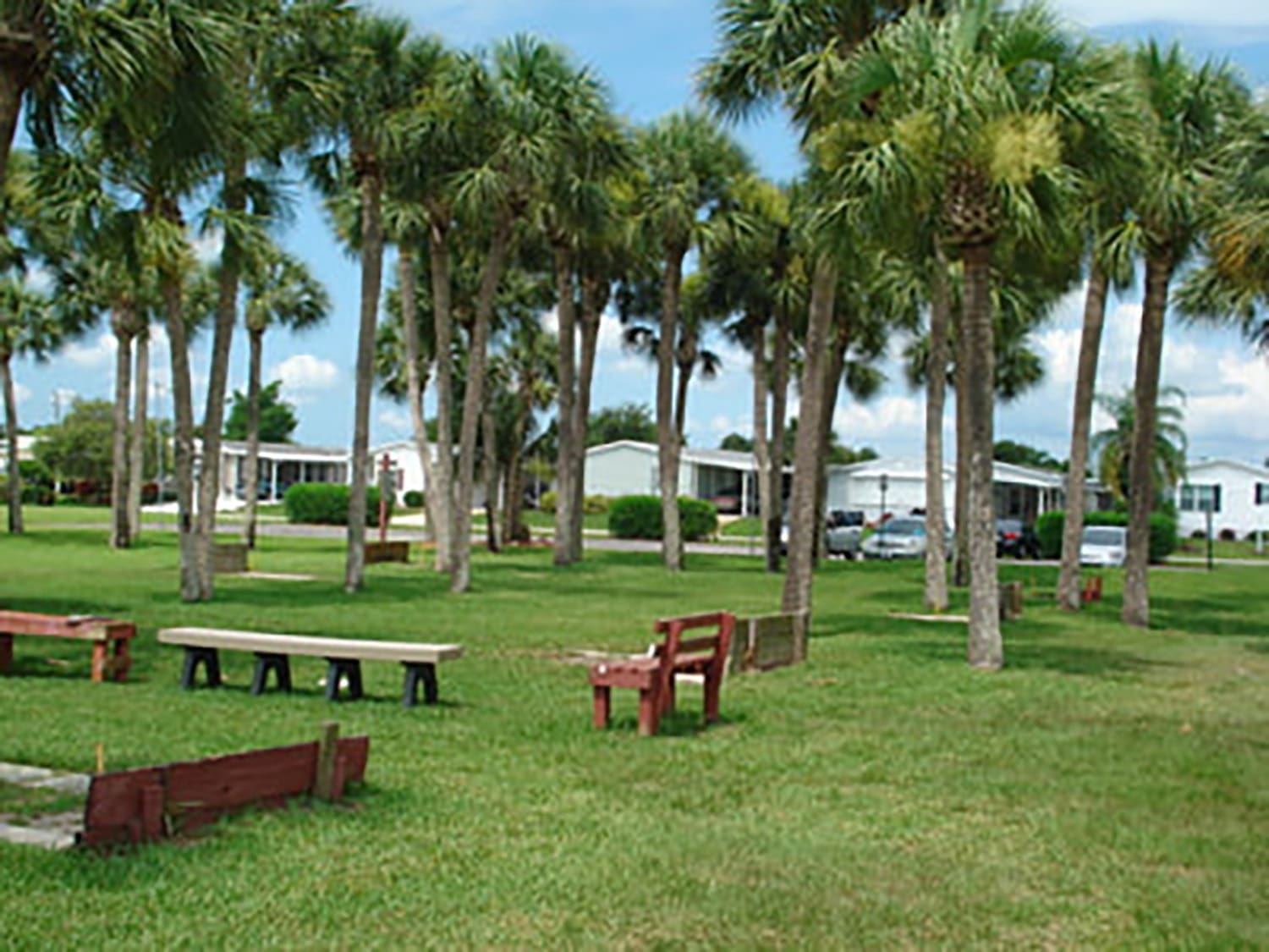 Lush green park with palm trees and wooden benches, providing a relaxing outdoor space near residential buildings. Ideal for leisure activities.