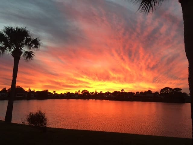 Vibrant sunset over a lake, with dramatic orange and pink clouds reflected on the water. Silhouettes of palm trees frame the scene.